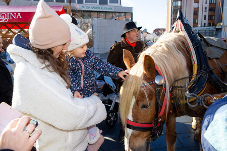 praznični sejem in prihod dedka mraza (42)